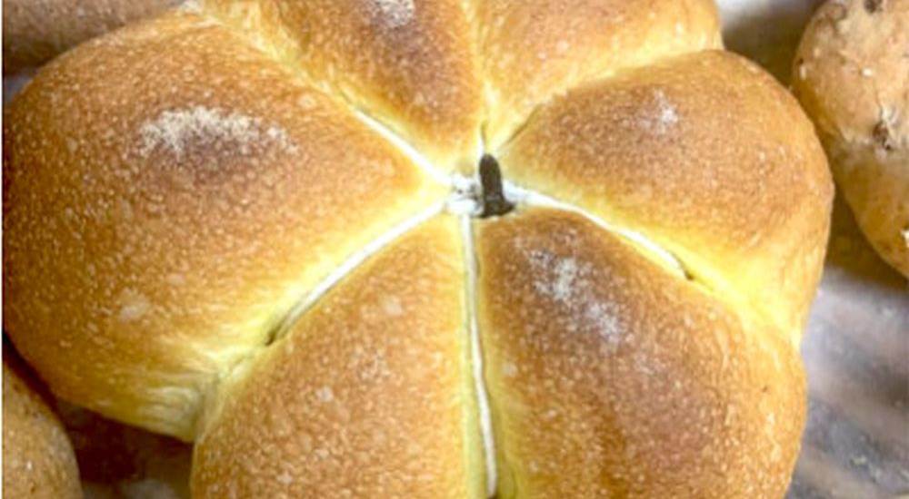 PANIFICIO GASTRONOMIA CON LABORATORIO