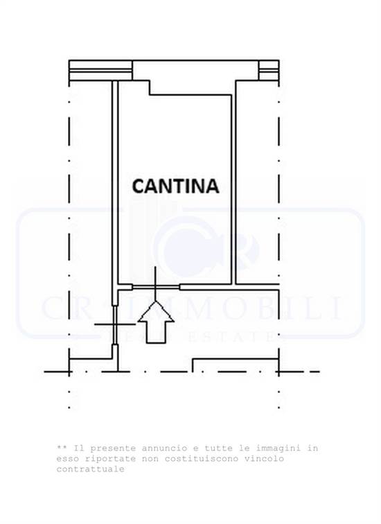 PLANIMETRIA CANTINA
