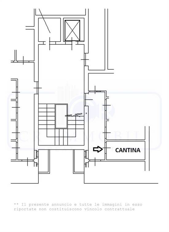 PLANIMETRIA CANTINA