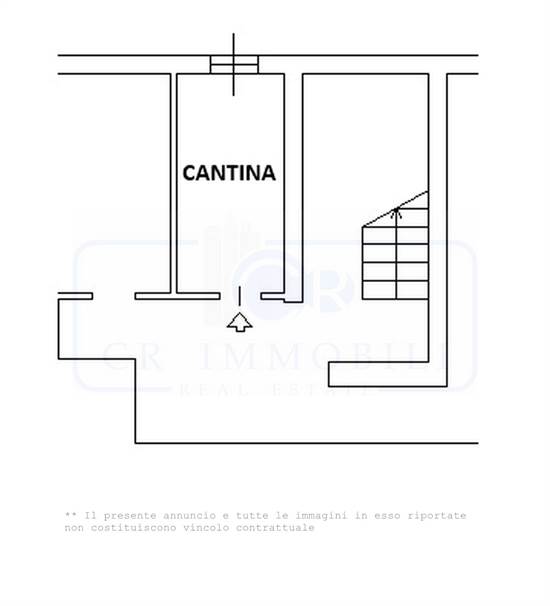 PLANIMETRIA CANTINA