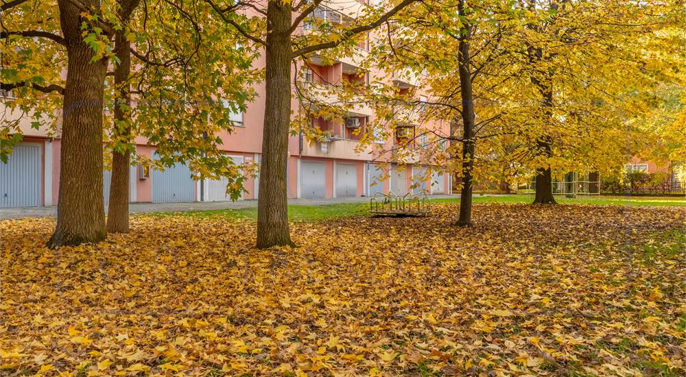 GIARDINO CONDOMINIALE